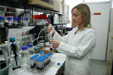 <p>La investigadora Mª José Jara-Palacios en uno de los laboratorios de la Facultad de Farmacia de la Universidad de Sevilla. / US</p>