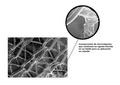 Inescop presenta sus novedades sobre nanotecnología en 'Imaginenano'