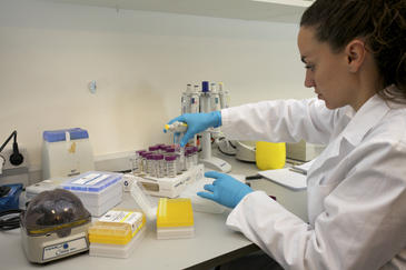 Investigadores trabajando en la secuenciación del genoma Investigadores trabajando en la secuenciación del genoma