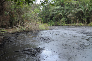 <p>Zona contaminada del río Amazonas. / UAB</p>