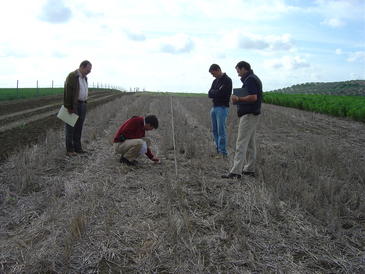 La agricultura andaluza se alía con Kioto