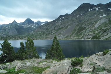 <p>Los bosques de montaña nos aportan múltiples servicios tales como control de la erosión, regulación del ciclo hidrológico, provisión de agua y madera, uso recreativo, hábitat para flora y fauna de gran valor, etc. Imagen tomada en Pirineos / Fernando Valladares</p>