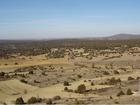 Sabinas albares 