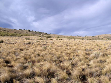 <p>Distribución de las plantas en un ecosistema árido en Argentina. / Fernando T. Maestre (URJC)</p>