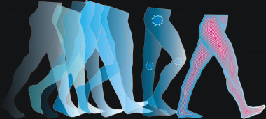 <p>Aunque los homínidos tenían las caderas más anchas, ello no implicaba que gastaran más energía al caminar. / CENIEH</p>