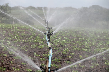 <p>Los investigadores han estudiado diversas prácticas para optimiezar el agua y el nitrógeno en los sistemas de cultivo: / Pixabay.</p>
