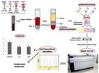 Nuevas evidencias sobre el papel del estrés oxidativo en la progresión del aneurisma de aorta abdominal