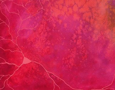 <p>Acuarela por Biuse Guivernau. / Imagen de portada de la revista <em>Journal of Neuroscience</em> (DCEXS-UPF)</p>