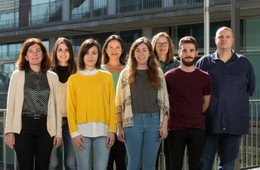 <p>Grupo de Investigación en Neurobiología del Comportamiento. / UPF</p>