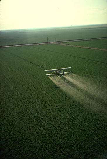 Avión rociando un campo de cultivo con plaguicida. Foto: PD-USGOV-USDA.