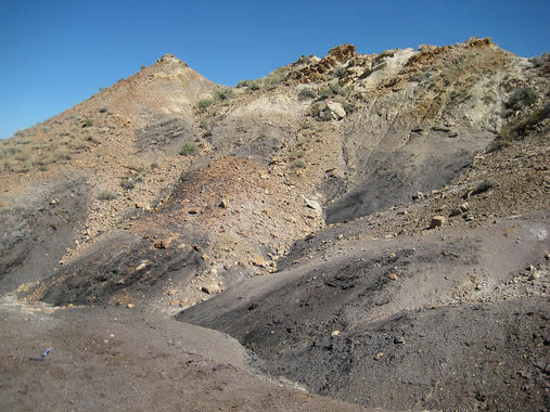 <p>El PETM y el actual calentamiento global se caracterizan por la liberación de grandes cantidades de CO2 a la atmósfera. En la imagen, bosque del Eoceno. Foto: Paleololigo.</p>