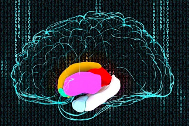 <p>Gran parte de la información emocional la procesamos de forma inconsciente y afecta a nuestra manera de pensar / Paul Thompson</p>