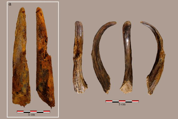 <p>Palo cavador de mandera de Tejo de Aranbaltza, a la izquierda se observa el objeto tras su extracción del sedimento, a la derecha el aspecto actual del objeto tras los esfuerzos de restauración. / Joseba Rios Garaizar</p>