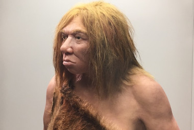 Las manos del neandertal limitaban sus trabajos artesanales