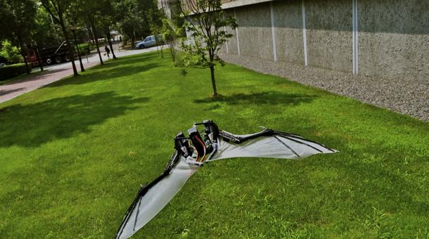 BaTboT: Micro robot aéreo tipo murciélago biológicamente inspirado en la fisionomía y biomecánica del espécimen Pteropus poliocephalus