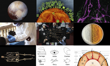<p>La revista <em>Science</em> ha publicado en su página web su top ten con las aportaciones más importantes a a la ciencia en 2015. / SINC</p>