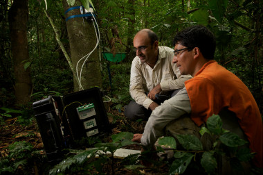 <p>Dos investigadores realizan mediciones en una de las parcelas de selva estudiadas. / Jake Bryant</p>