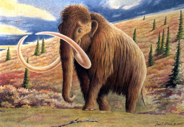 <p> Mamut lanudo. <a href="http://www.plataformasinc.es/index.php/esl/ilustraciones/inicio/(imagen)/28730" target="_self">Ilustración: Diego Álvarez Lao</a>.</p>
