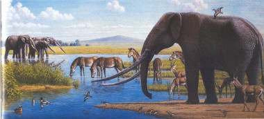 <p>Reconstrucción paleoambiental con mastodontes <em>Anancus arvernensis</em>. Imagen: Mauricio Antón/Museo Provincial de Ciudad Real.</p>