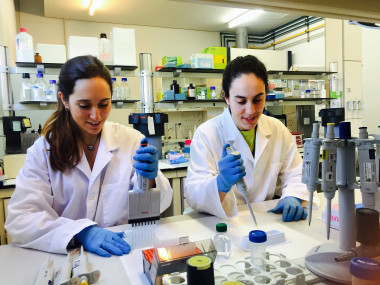<p>Maria Ibars (izquierda) y Andrea Ardid (derecha), estudiantes predoctorales autoras del artículo, en el laboratorio del departamento de Bioquímica y Biotecnología. / URV</p>
