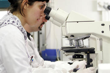 Más de la mitad del personal en I+D en biotecnología son mujeres