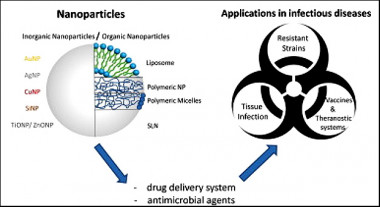 <p>Esquema y compuestos usados en la investigación. / Hinojal Zazo et al.</p>