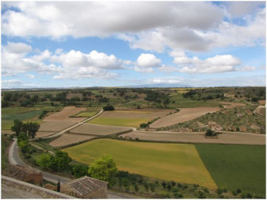 <p>Paraje y bodegas de El Plantío, en Atauta (Soria), declarado bien de interés cultural (BIC) con la categoría de conjunto etnológico. / UPM</p>