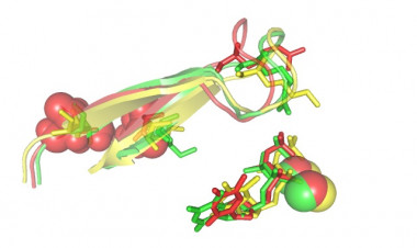 <p>Vista del centro activo de la retrotranscriptasa mostrando cambios estructurales que se asocian con resistencia a fármacos antirretrovirales. / UAM</p>