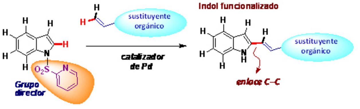 Nuevo método de síntesis de indoles / Noticias / SINC