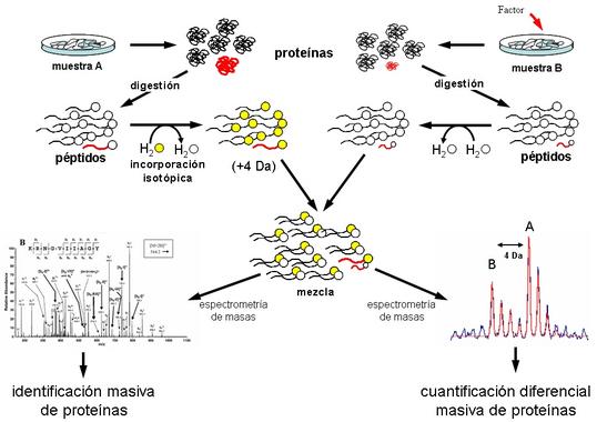 EL IMPACTO DE LA QUIMICA EN LA MEDICINA el impacto de la quimica en la medicina: