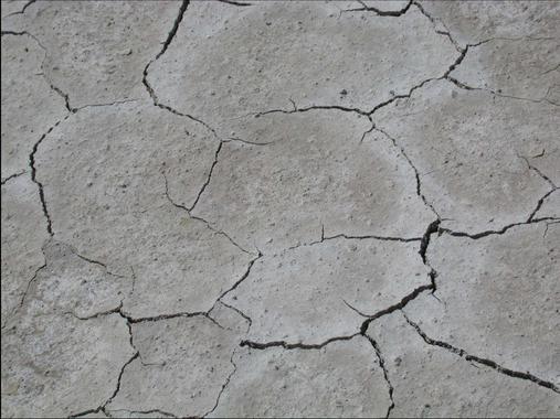 <p>Huellas de desecación.</p>