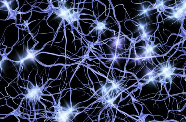 Cada cuatro segundos oleadas de actividad neuronal viajan de un punto a otro de la corteza cerebral. / Penn State Cada cuatro segundos oleadas de actividad neuronal viajan de un punto a otro de la corteza cerebral. / Penn State