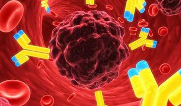 Presentan nuevas terapias contra el cáncer basadas en el envejecimiento celular