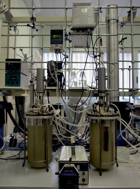 <p>Estos científicos de la Universidad de Cádiz han decidido usar la glicerina como fuente de carbono.</p>