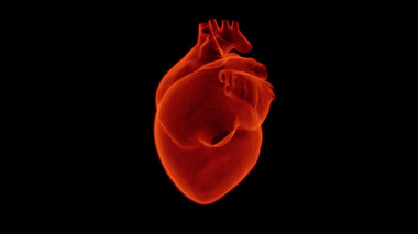 <p>Un infarto de miocardio es una lesión de los tejidos que forman el corazón, o una parte de él. Esto produce una parada o una grave alteración del ritmo de los latidos por obstrucción de la arteria o arterias correspondientes. / <a href="https://pixabay.com/es/coraz%C3%B3n-m%C3%A9dica-de-salud-cardiolog%C3%ADa-1767552/" target="_blank">Pixabay</a></p>