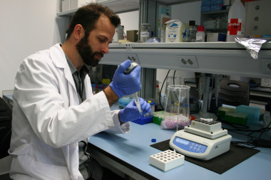 <p>El investigador de la Universidad de Sevilla José F. Ruiz en los laboratorios de CITIUS Celestino Mutis / Universidad de Sevilla</p>