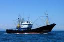  Barco
