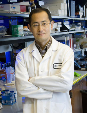 <p>El premiado Shinya Yamanaka. Foto: Gladstone.</p>