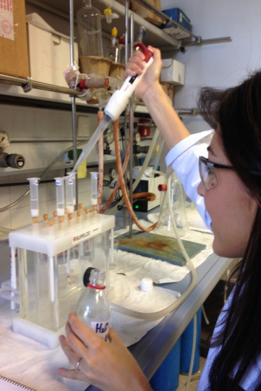 <p class=" text-left">Proceso de extracción de fármacos en muestras de carne. / URJC</p>