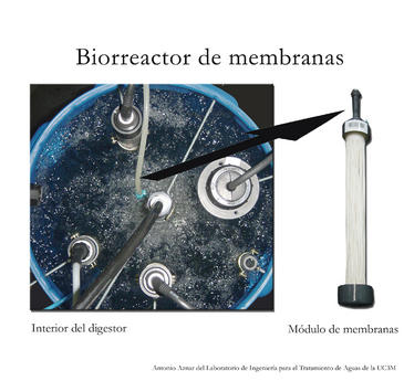 Sistemas biológicos para mejorar la calidad del agua
