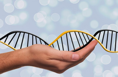 La técnica CRISPR-Cas9 de edición genética  ha despertado muchas expectativas por su posible aplicación en humanos enfermos y sanos. / CC