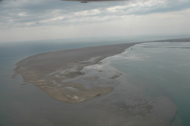 <p>Vista aérea del Delta de l’Ebre. / Albert Cama - SEO/BirdLife</p>