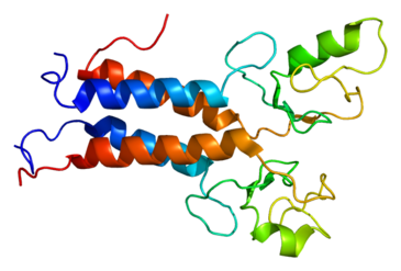 Proteína BRCA1. Wikipedia Proteína BRCA1. Wikipedia