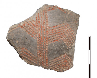 <p>Fragmento cerámico ramiforme hallado en El Portalón (Atapuerca) / A. Alfay y J.M. Carretero</p>