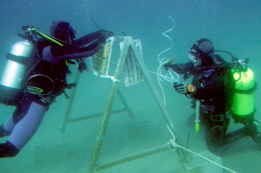 <p>Los investigadores de la Universidad de Cádiz investigan los restos del Fougueux. / UCA</p>