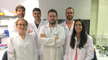<p>Miembros del equipo de investigación del CIBER en la Universitat de València liderado por Federico Pallardó, que ha participado en esta investigación. / CIBER</p>