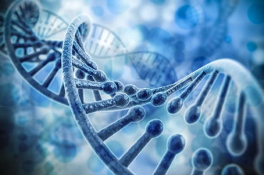 El 98% de nuestro ADN no codifica para proteínas. Estas regiones de ADN contienen miles de genes no codificantes que no están caracterizados y todavía queda un largo camino hasta que comprendamos sus funciones y su papel en las enfermedades / Fotolia