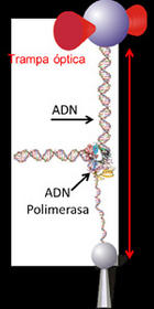 nanomaquina