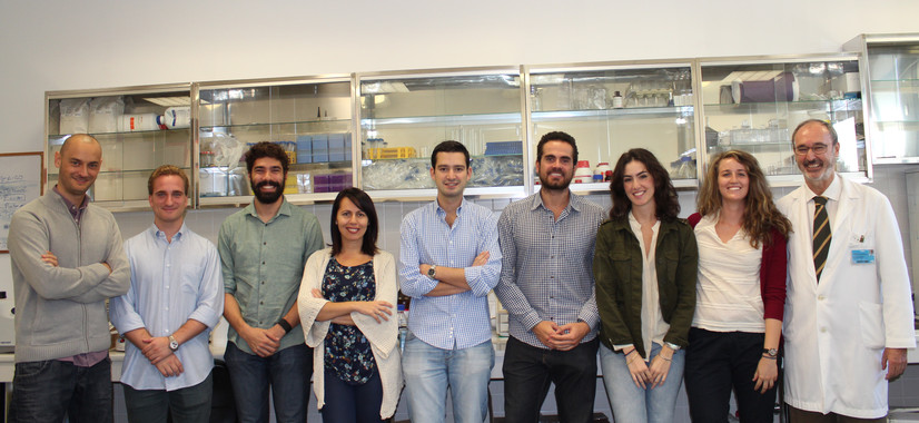 El profesor de la Universidad de Sevilla, Mario D. Cordero (izq.), junto a sus compañeros de investigación- US