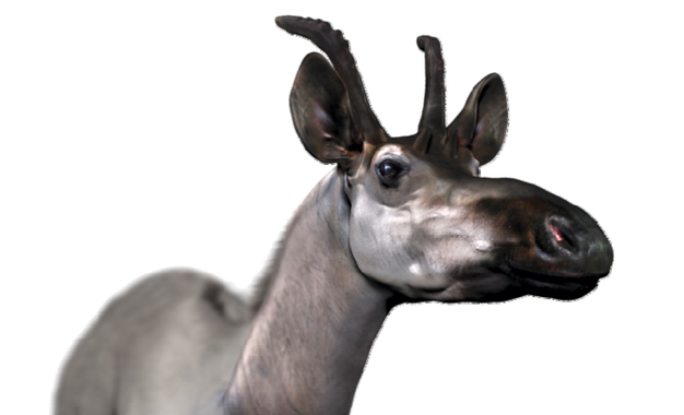 <p>Reconstruccion de <em>Decennatherim rex </em>/ Óscar Sanisidro</p>